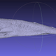 Illustration for article titled A Look at the Extremely Rare—and Extremely Small—Pocket Shark